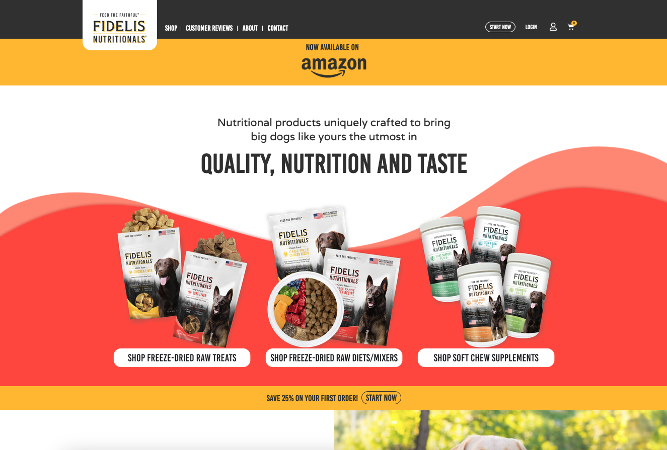 Fidelis Dog Food Website Design